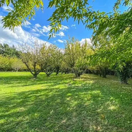 La Bastide Des Anges